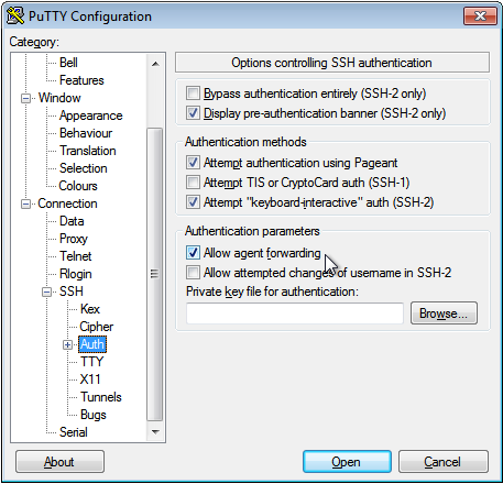 ../_images/putty-allow-agent-forwarding.png